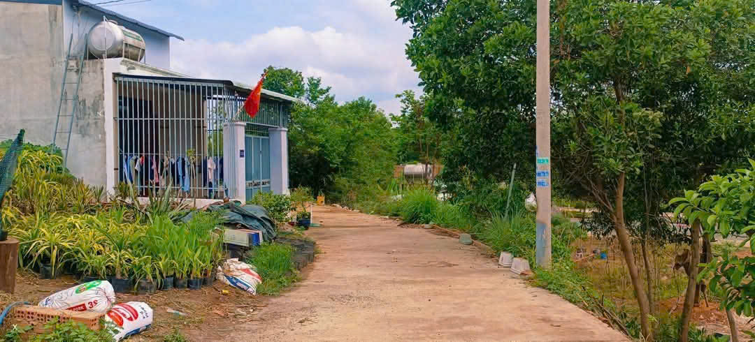 BÁN ĐẤT PHƯỜNG BÌNH PHƯỚC TỈNH ĐỒNG NAI