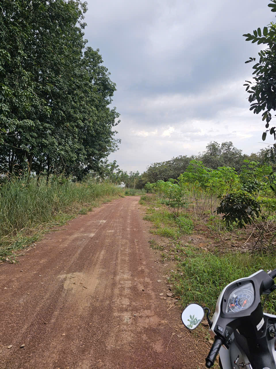 BÁN ĐẤT PHƯỜNG BÌNH PHƯỚC TỈNH ĐỒNG NAI