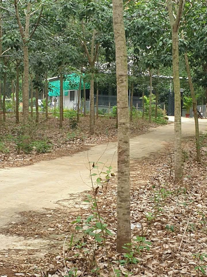 BÁN ĐẤT PHƯỜNG ĐỒNG XOÀI TỈNH ĐỒNG NAI