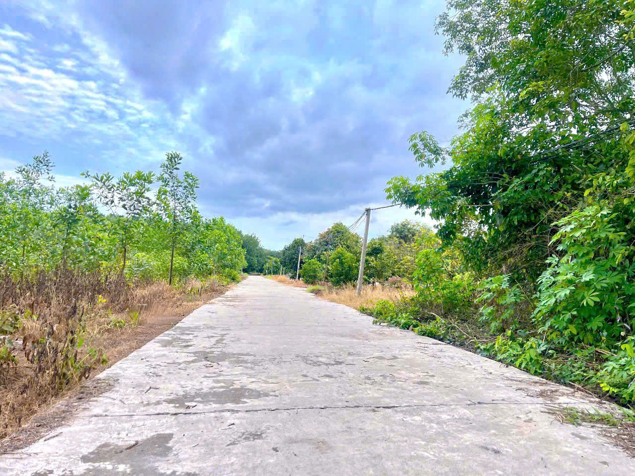 BÁN ĐẤT PHƯỜNG MINH HƯNG TỈNH ĐỒNG NAI