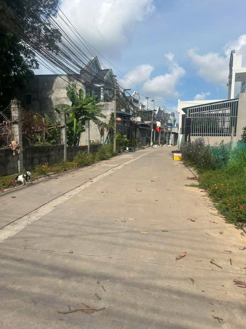 BÁN ĐẤT PHƯỜNG TÂN TRIỀU TỈNH ĐỒNG NAI