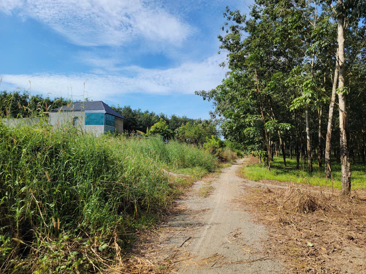 BÁN ĐẤT XÃ ĐỒNG PHÚ TỈNH ĐỒNG NAI