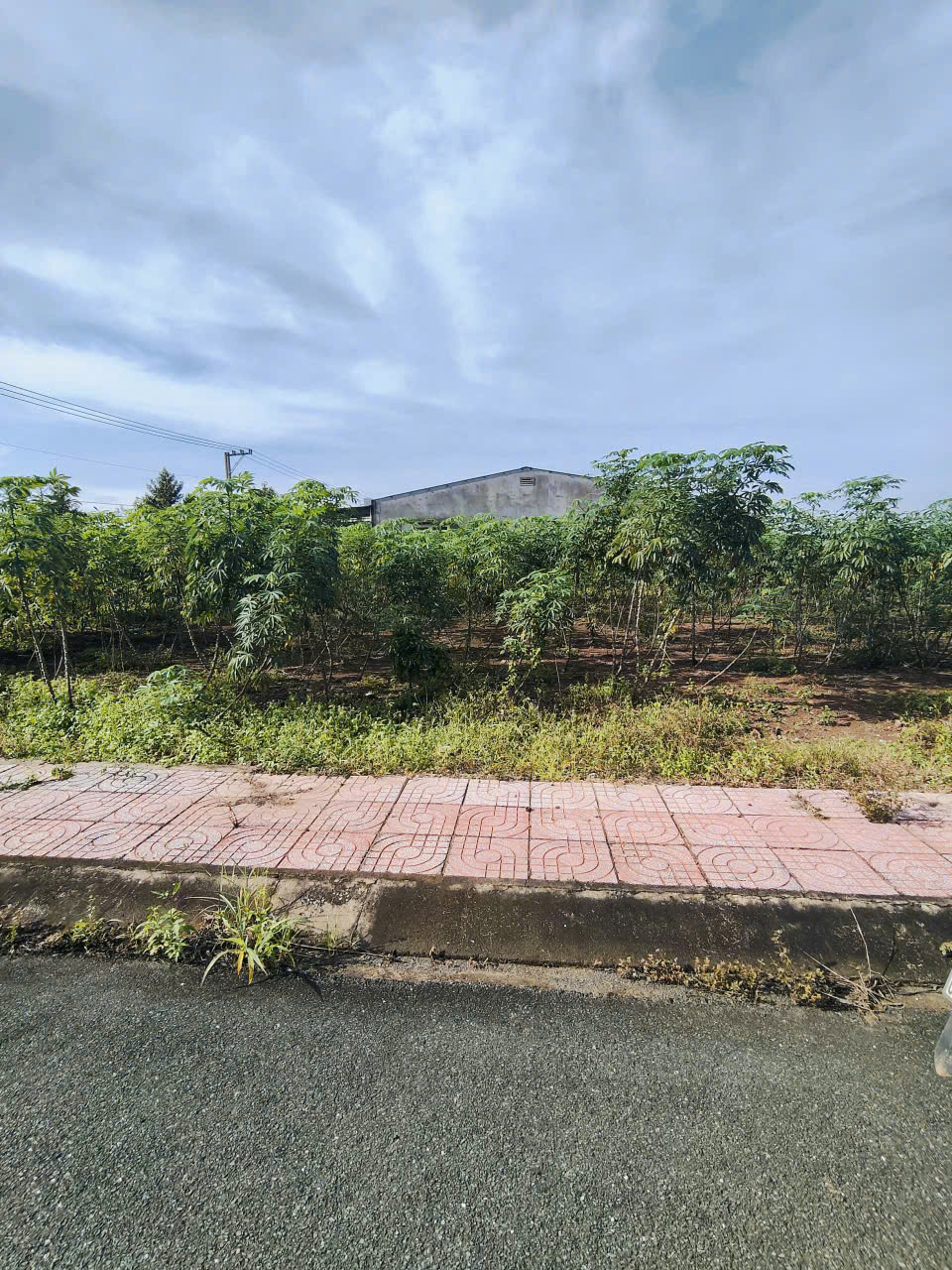 BÁN ĐẤT XÃ ĐỒNG PHÚ TỈNH ĐỒNG NAI