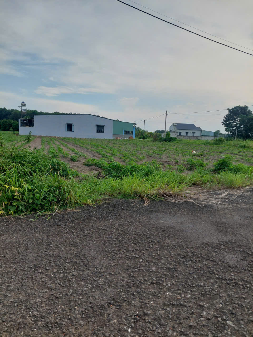 BÁN ĐẤT XÃ ĐỒNG PHÚ TỈNH ĐỒNG NAI