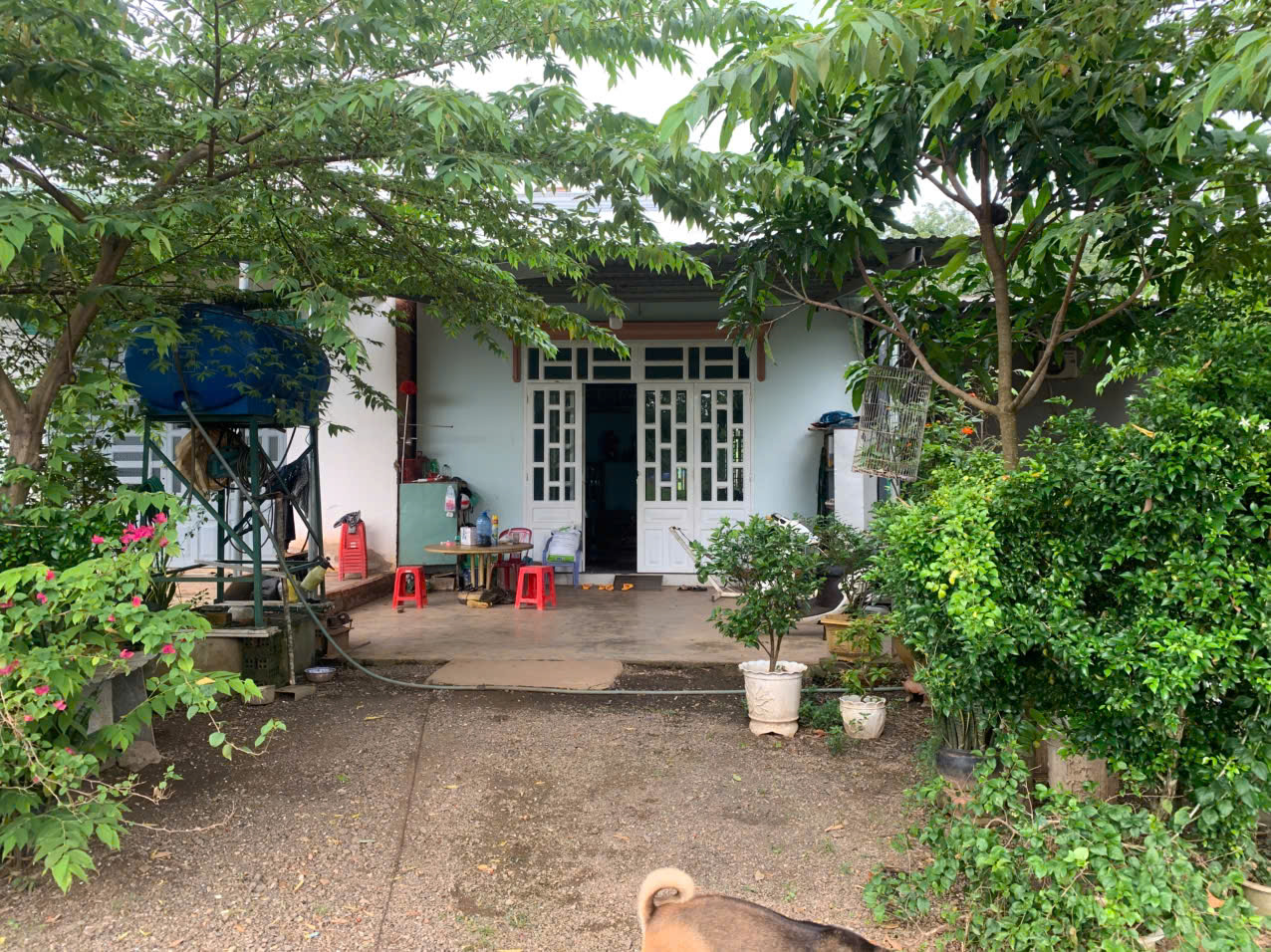 BÁN ĐẤT XÃ TÂN LỢI TỈNH ĐỒNG NAI