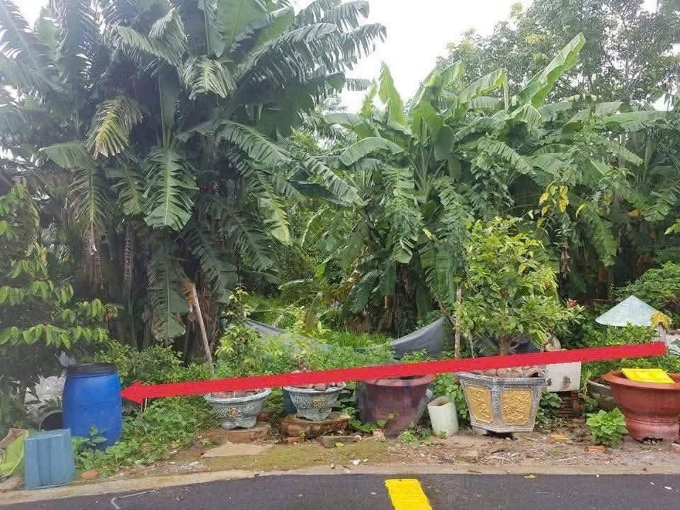 BÁN ĐẤT PHƯỜNG HÒA LỢI THÀNH PHỐ HỒ CHÍ MINH