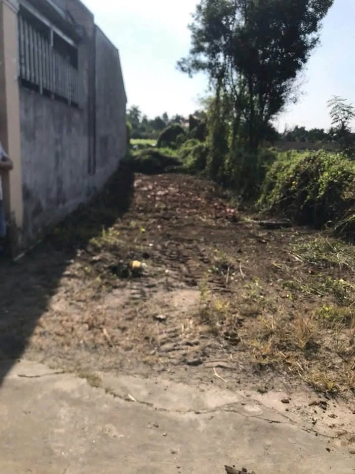 BÁN ĐẤT PHƯỜNG PHÚ AN THÀNH PHỐ HỒ CHÍ MINH 