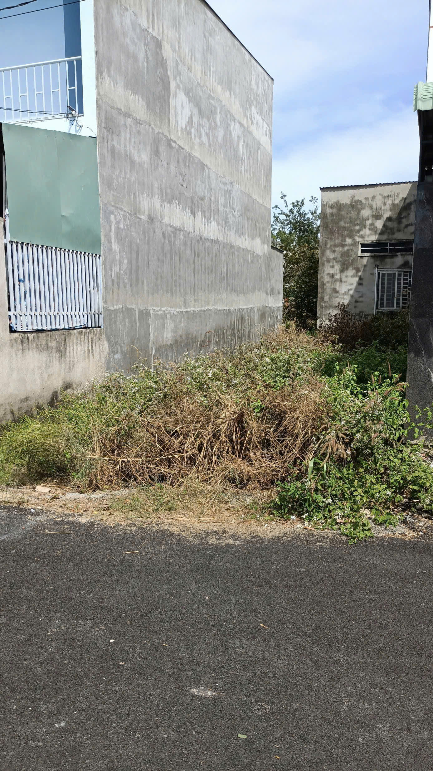 BÁN ĐẤT PHƯỜNG TAM LONG THÀNH PHỐ HỒ CHÍ MINH