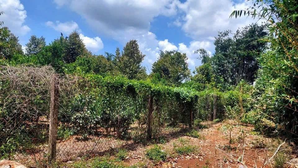 BÁN ĐẤT PHƯỜNG TAM LONG THÀNH PHỐ HỒ CHÍ MINH