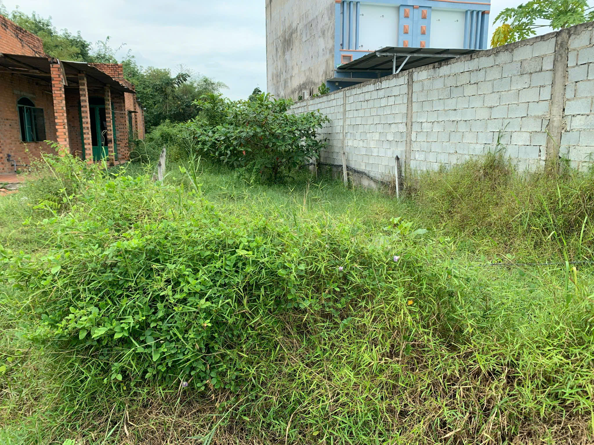 BÁN ĐẤT XÃ AN NHƠN TÂY THÀNH PHỐ HỒ CHÍ MINH