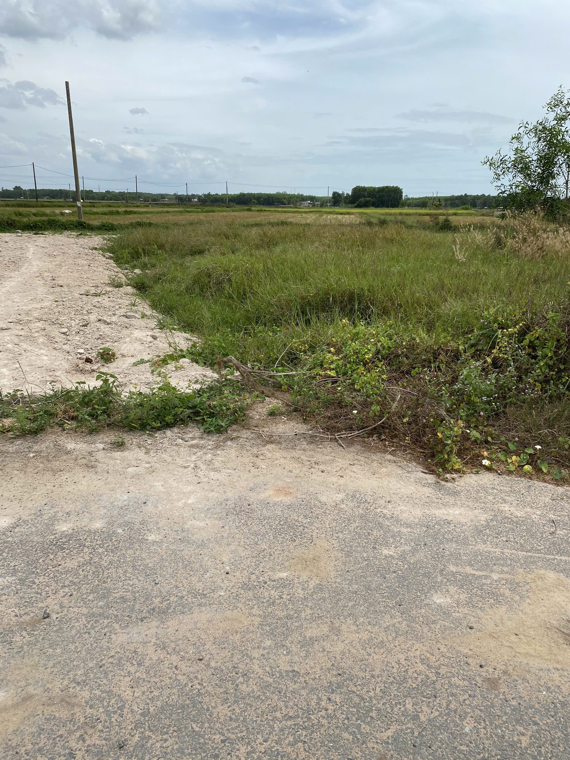 BÁN ĐẤT XÃ ĐẤT ĐỎ THÀNH PHỐ HỒ CHÍ MINH