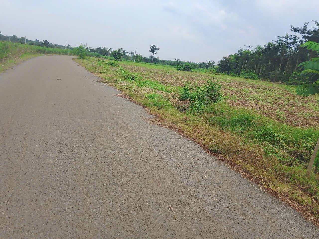 BÁN ĐẤT XÃ NGHĨA THÀNH THÀNH PHỐ HỒ CHÍ MINH 