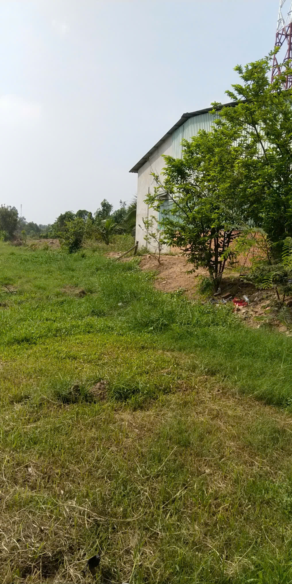 BÁN ĐẤT PHƯỜNG AN TỊNH TỈNH TÂY NINH