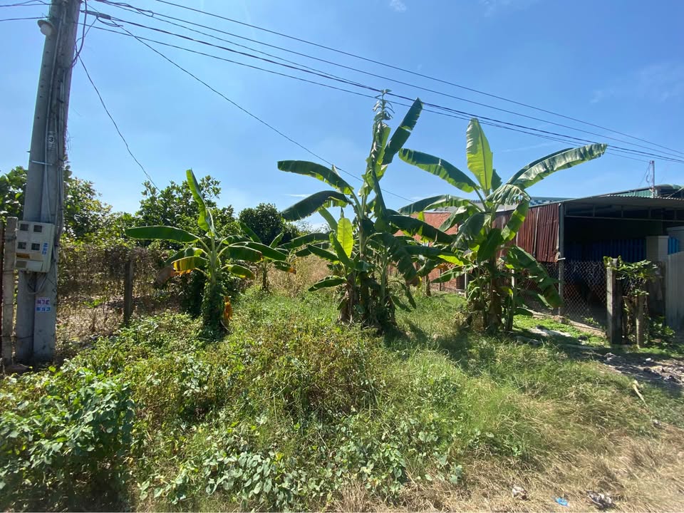 BÁN ĐẤT PHƯỜNG LONG HOA TỈNH TÂY NINH