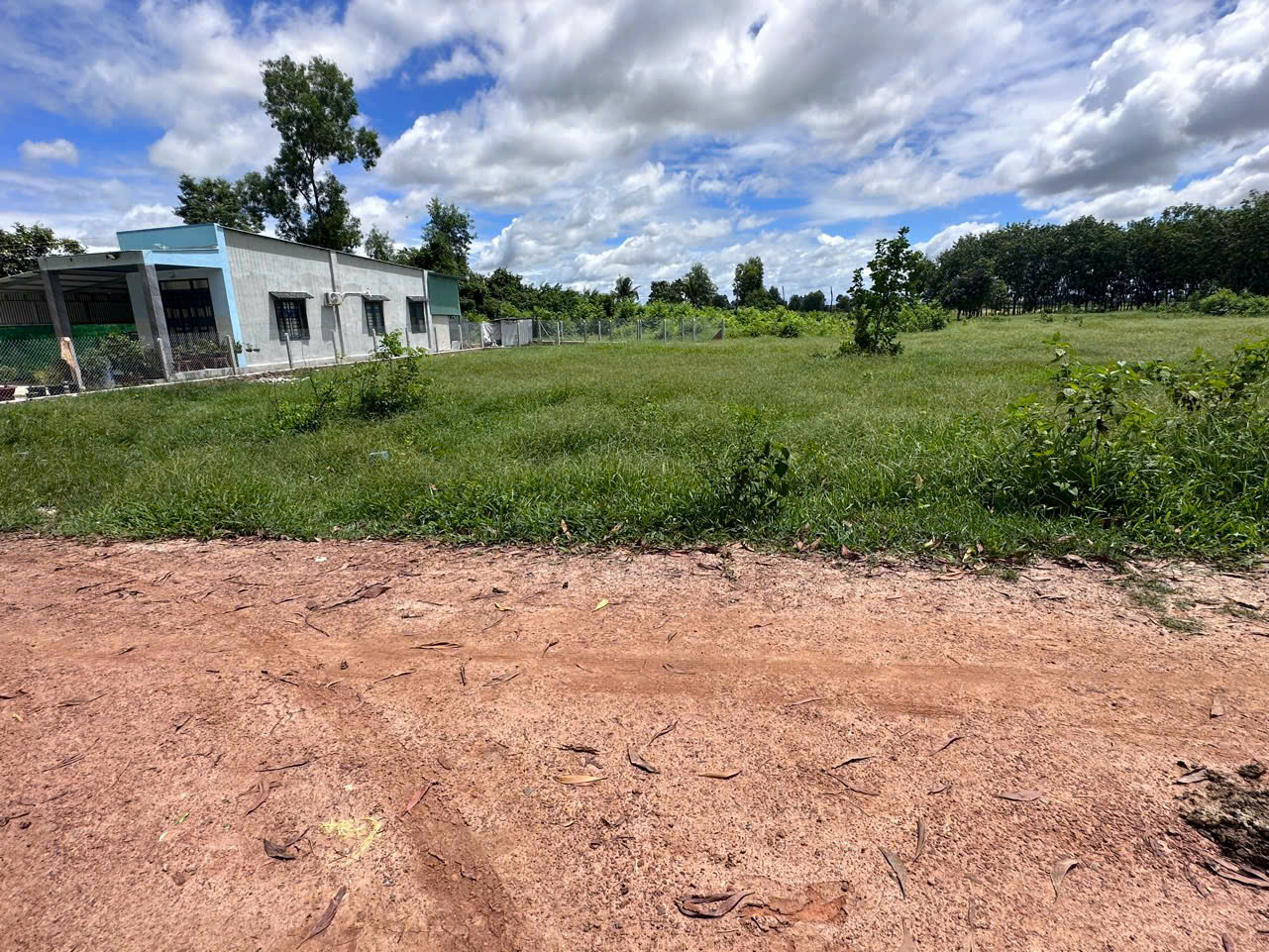 BÁN ĐẤT XÃ NINH ĐIỀN TỈNH TÂY NINH